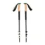 Black Diamond Trail Cork Trekking Poles in Laurel Green