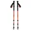 Black Diamond Trail Back Trekking Poles In Burnt Sienna