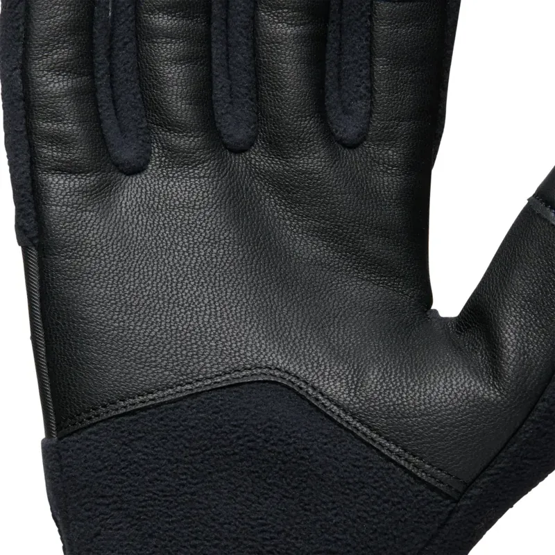 Black Diamond Alpine Fleece Gloves in Black-2