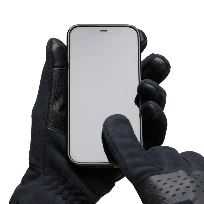 Black Diamond Alpine Fleece Gloves in Black-3