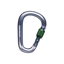 Black Diamond Pearlock Screwgate Carabiner in Gray