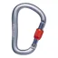 Black Diamond RockLock Screwgate Carabiner in Gray