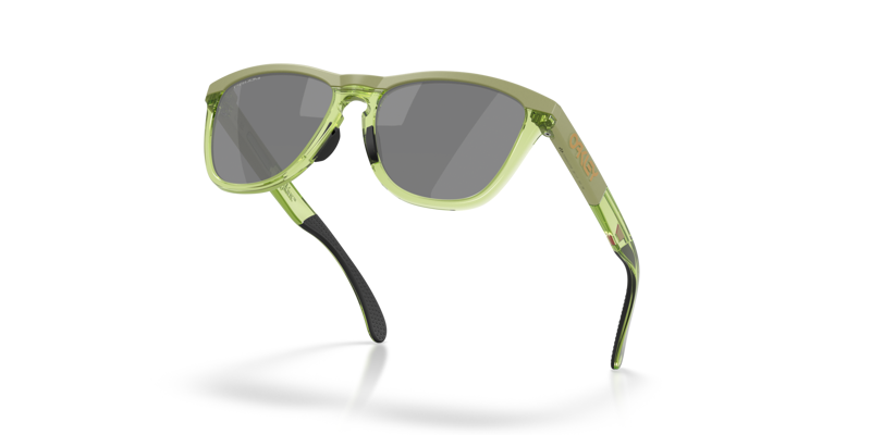 Frogskins Range XL Prizm Black Lenses Matte Fern/Transparent Fern Frame-4