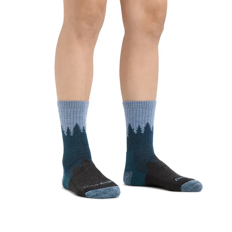 Darn Tough Treeline Midweight Cushioned Women's Micro Socks in Blue-1