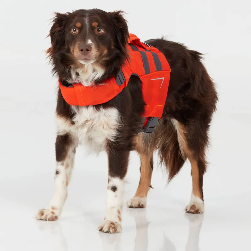 NRS Canine Floatation Device-2