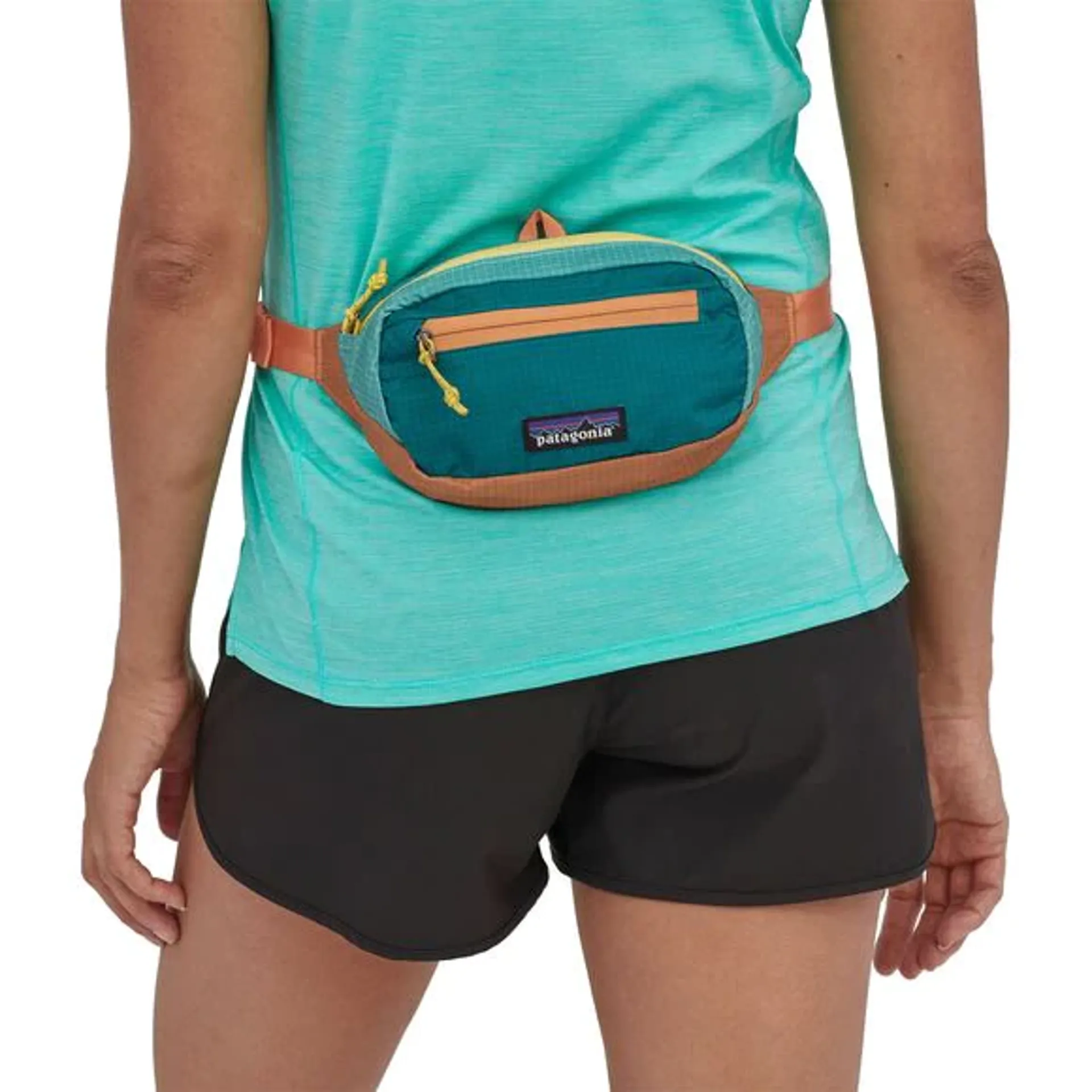 patagonia ultralight black hole mini hip pack hemlock green Ultralight Black Hole Mini Hip Pack Hemlock Green