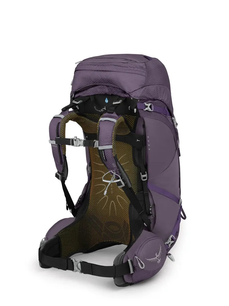 Aura AG 50 Enchantment Purple WM/L-1