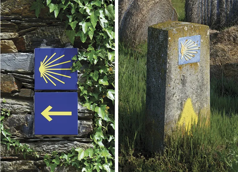 Camino De Santiago - Camino Frances Guide and Map Book-3