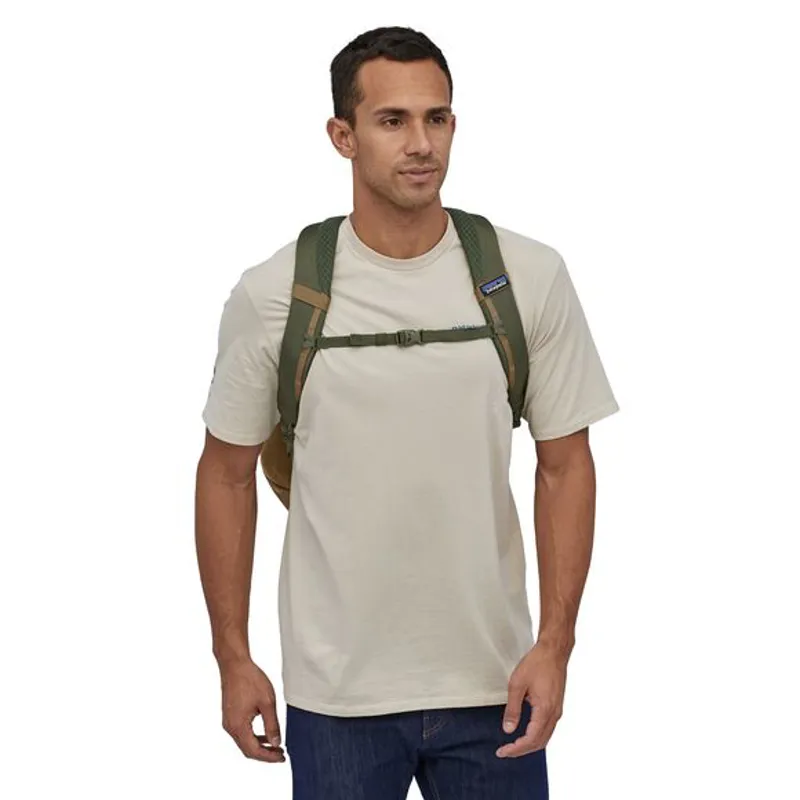 Patagonia Refugio 28L Pack in Green-1