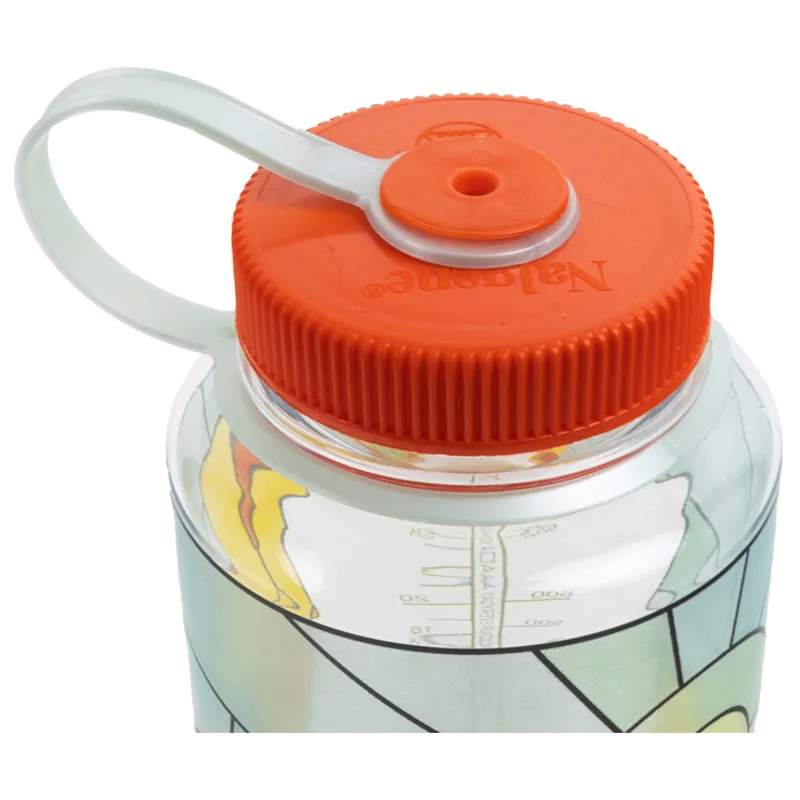 Nalgene Drinking Bottle Widemouth Sustain 1.0L in Clear Stained Glass Desert-2