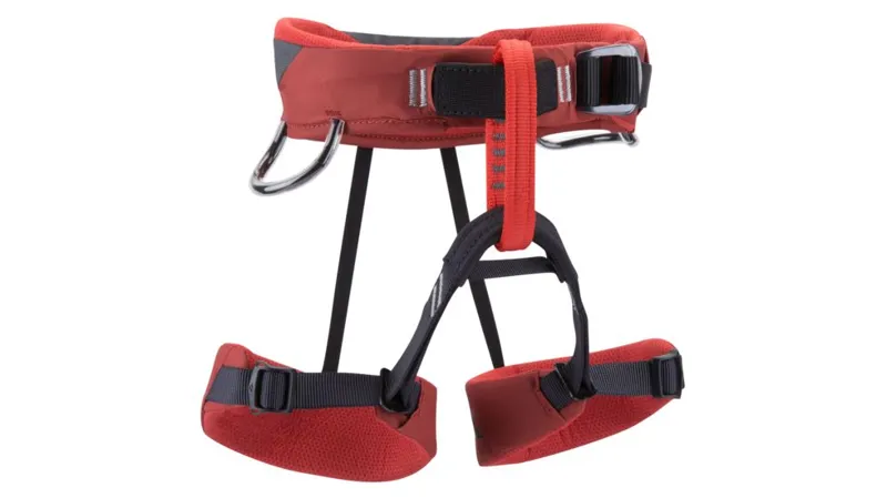 Wiz Kid Harness in Deep Torch