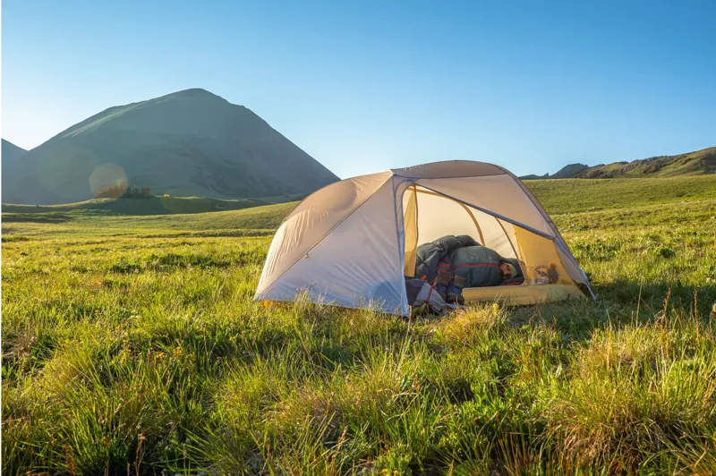 Tiger Wall UL2 Solution Dye-5